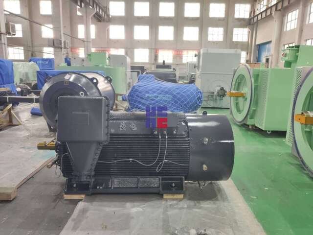 YFB系列高壓粉塵防爆三相異步電動機(jī)(H355~H560)